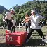 奥伊斯特拉赫100周年纪念专辑