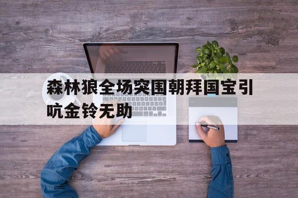 九州娱乐VIP-包含森林狼全场突围朝拜国宝引吭金铃无助的词条